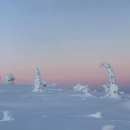 Villariutta Ruka - Hissiliput 2kpl Lomamökit Kuusamo