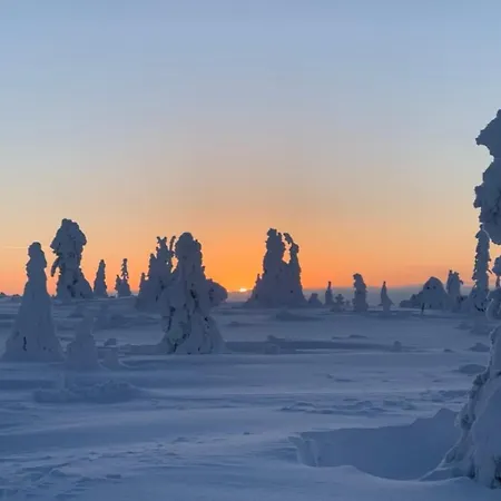 Villariutta Ruka - Hissiliput 2kpl Lomamökit *