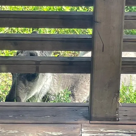 Dağ evi Villariutta Ruka - Hissiliput 2kpl Kuusamo