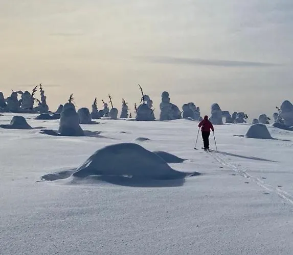 Chalet Villariutta Ruka - Hissiliput 2kpl