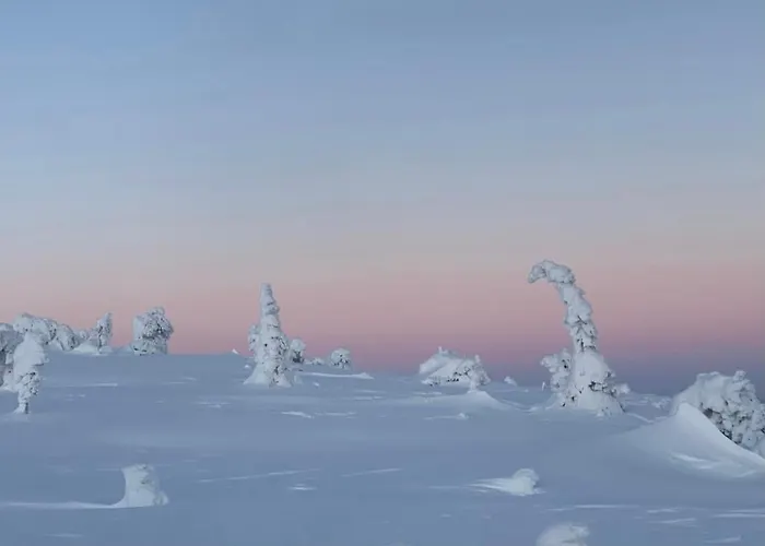 Villariutta Ruka - Hissiliput 2kpl Chalet Kuusamo