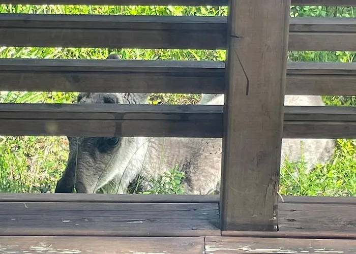 Chalet Villariutta Ruka - Hissiliput 2kpl Kuusamo